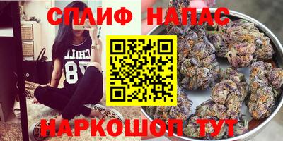 гидропоника Краснодар