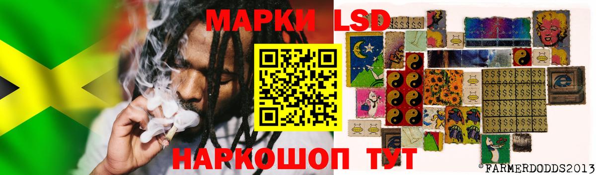 Лсд 25 экстази  Вход с VPN  Карачаевск  ЛСД экстази ecstasy 