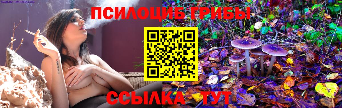 Галлюциногенные грибы прущие грибы  Вход с VPN  Галлюциногенные грибы MAGIC MUSHROOMS  Карачаевск 