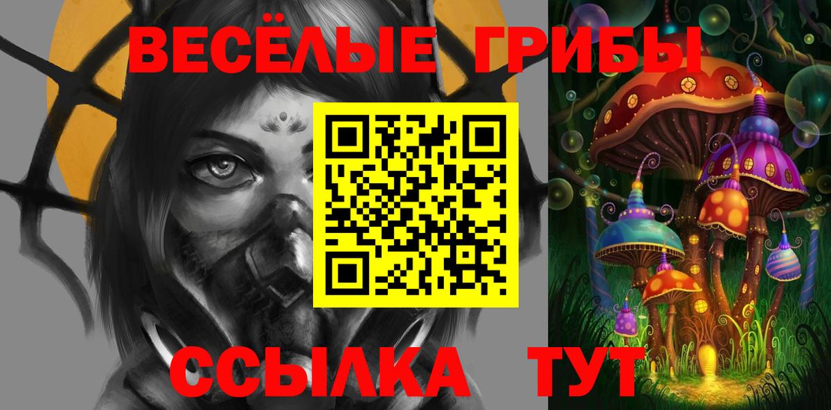 Галлюциногенные грибы ЛСД Карачаевск